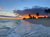 Ko Olina Beachの写真・動画_image_465566