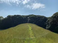 双六古墳の写真・動画_image_466047