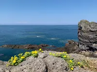 鬼の足跡の写真・動画_image_466073