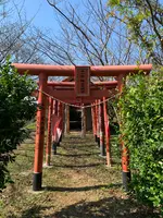 勝本城跡の写真・動画_image_466106