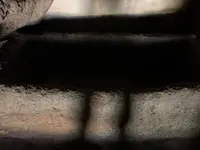 掛木古墳の写真・動画_image_466111