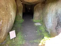 掛木古墳の写真・動画_image_466113