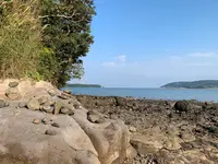 小島神社の写真・動画_image_466151