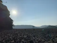 小島神社の写真・動画_image_466154