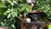 水澤観世音（水澤寺）の写真・動画_image_466283