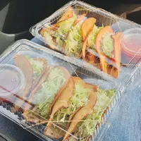 メキシコの写真・動画_image_466701