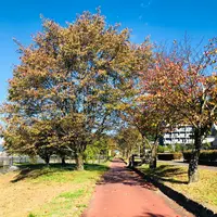 諏訪湖の写真・動画_image_467089