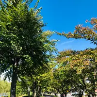 諏訪湖間欠泉センターの写真・動画_image_467135