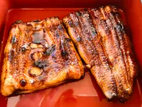 うなぎ松倉の写真・動画_image_467139