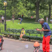 セントラルパークの写真・動画_image_468850