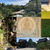 仁和寺の写真・動画_image_469278