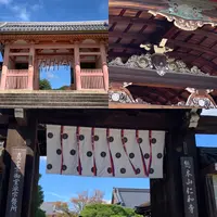 仁和寺の写真・動画_image_469279