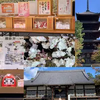 仁和寺の写真・動画_image_469280