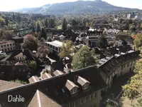 連邦院の写真・動画_image_469375