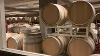 広島三次ワイナリーの写真・動画_image_469411