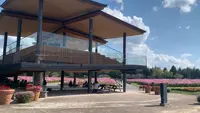 国営備北丘陵公園の写真・動画_image_469418