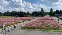 国営備北丘陵公園の写真・動画_image_469421