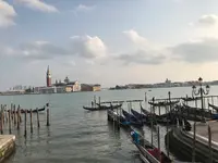 Palazzo Ducale （ドゥカーレ宮殿）の写真・動画_image_469570