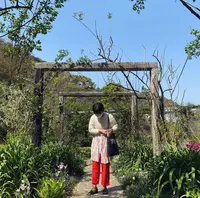 アカオハーブ＆ローズガーデンの写真・動画_image_469647