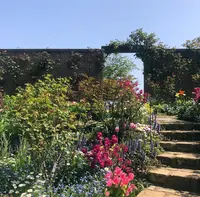 アカオハーブ＆ローズガーデンの写真・動画_image_469650