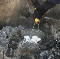 小沢の湯の写真・動画_image_469666