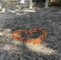 來宮神社の写真・動画_image_469668