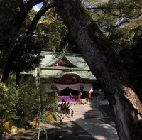 來宮神社の写真・動画_image_469669
