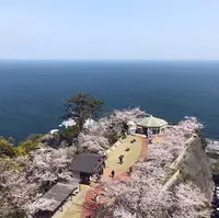 熱海城の写真・動画_image_469688