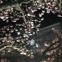 熱海銀座の写真・動画_image_469736