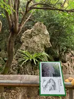 大石林山の写真・動画_image_470016