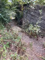 文学のこみちの写真・動画_image_470174