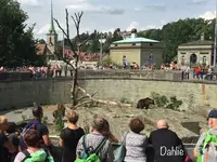 ベーレングラーベンの写真・動画_image_470207