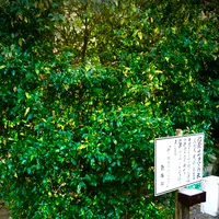 息栖神社の写真・動画_image_470371