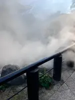 別府地獄めぐりの写真・動画_image_470528