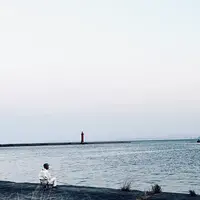 さんふらわあの写真・動画_image_470532