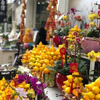 花市場の写真・動画_image_470555