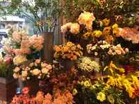 Cafe Hay Feverの写真・動画_image_470562