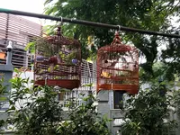 Yuen Po Street Bird Gardenの写真・動画_image_470575