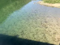 浅尾(あそお)沈下橋の写真・動画_image_470674