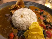 カレープラントの写真・動画_image_470862