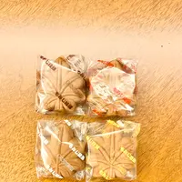 岩村菓子舗の写真・動画_image_471110