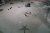 DMMかりゆし水族館の写真・動画_image_471135