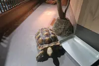 DMMかりゆし水族館の写真・動画_image_471136