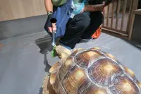 DMMかりゆし水族館の写真・動画_image_471137