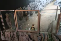 DMMかりゆし水族館の写真・動画_image_471139