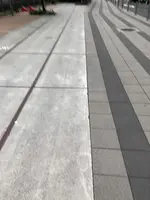 渋谷ストリームの写真・動画_image_471151
