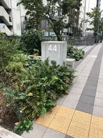 渋谷ストリームの写真・動画_image_471156