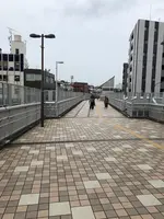 フラワー緑道　反町橋の写真・動画_image_471243