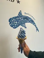 海遊館の写真・動画_image_471580