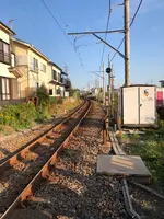 寒川神社一之鳥居の写真・動画_image_471814